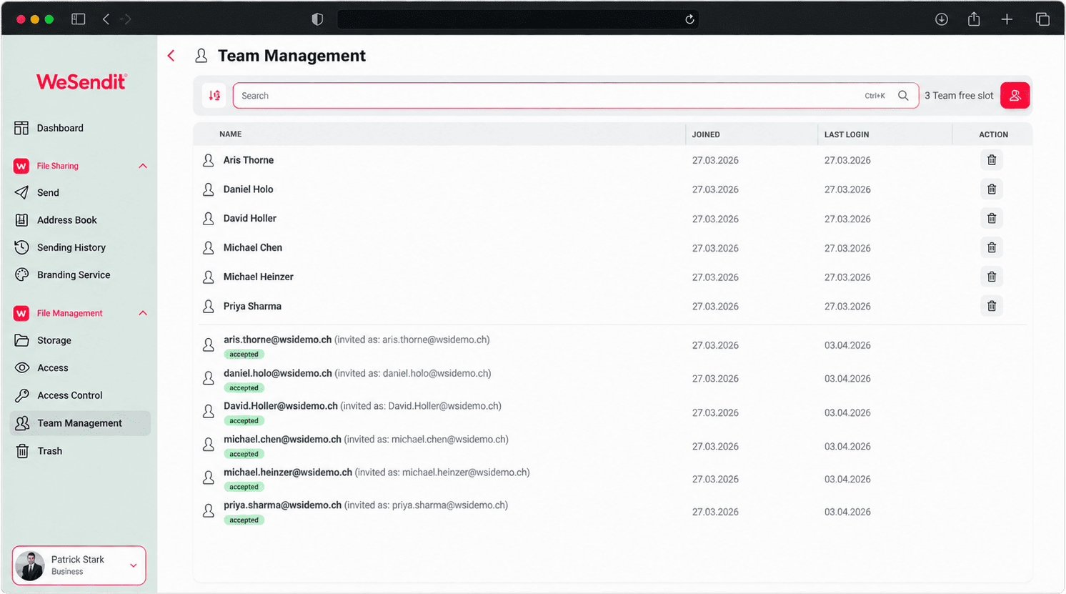 Team Management Interface