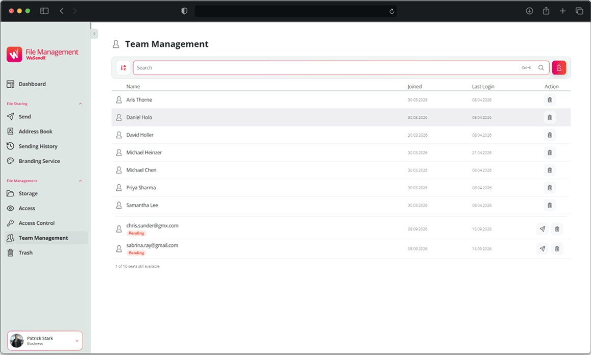 Team Management Interface